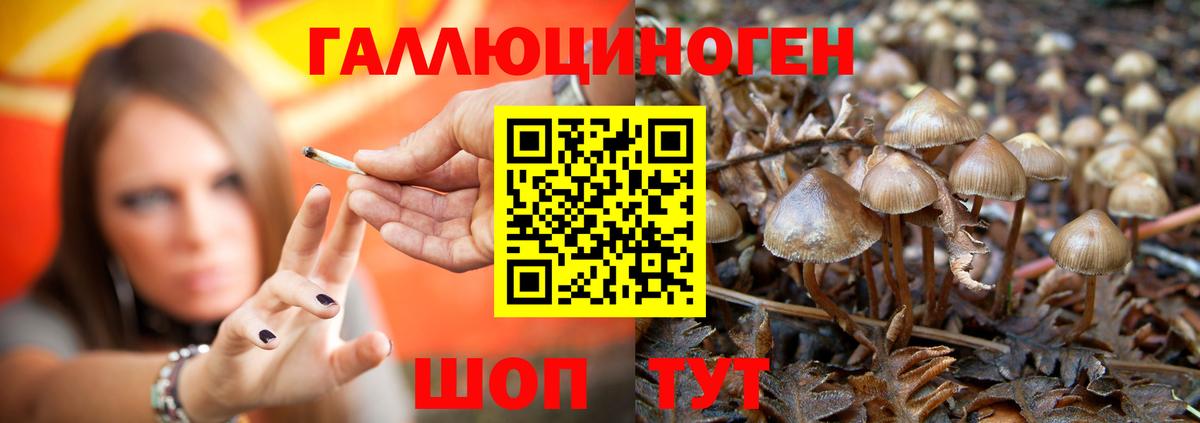 Псилоцибиновые грибы мухоморы  Вход с VPN  Фурманов 